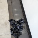 더엘에스