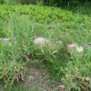 송도LPG충전소 이미지