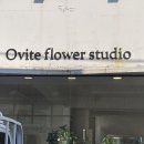 오비5길 이미지