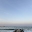 해랑.대게횟집 이미지