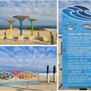 명태의 꿈(아트벤치 이미지