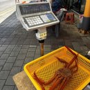 주문진 수산시장 맛집 맛있는 대게 킹크랩 시세 강릉 주문진항 바로 앞 여행 코스 추천 후기