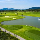 솔라시도 이미지