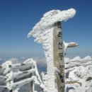 한라산약국 이미지