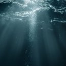 물의 기억 | 251220-21 쏜애플 <바다와 구름과 무대>