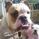 땡큐펜션 이미지