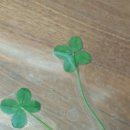 길따라행운 이미지