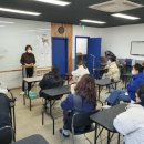 예쁜강아지 앙슈 이미지