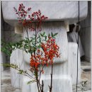 분당요한성당 이미지