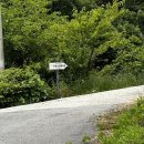 녹동목장 이미지