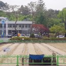 부리면사무소 이미지