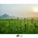 정희목장 이미지