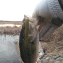 오늘교동 이미지