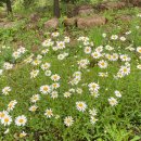 부석한의원 | 영주 국립산림치유원 숙박 후기 - 5/29~31