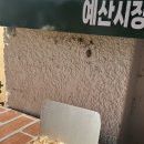 예산다방