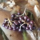 대림농장 이미지