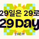 29 이미지