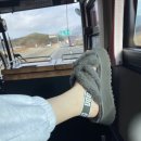 킹덤후기