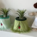 워시하우스 이미지