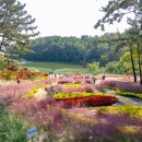 신흥공원 이미지