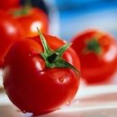토마토 이미지