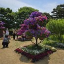 이서초등학교 Daum카페
