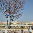 삼성초등학교가천분교장 | 삼성초등학교