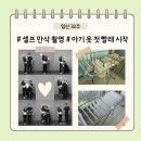 임산시장 | 임신 32주 일상, 아기 옷 첫 빨래 시작, 셀프 만삭 사진 촬영, 시장 투어, 친구들 만나기, 마켓컬리 주문