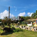 동치골 허브 야생화 마을 | [경북/울진] 울진 돈까스 맛집 오리고기 맛집 '동치골허브야생화마을' 울진 필수 여행코스