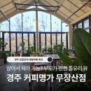 엑스포(아)4단지경로당 | 커피명가 경주 무장산점 : 보문단지 대형카페 아이랑 정원 나들이(+주차, 딸기케이크, 아기의자)