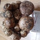 검성로3-3 이미지