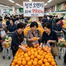 청견 | 질겨서 맛없을까 봐 안 샀던 청견의 반전, 창동 하나로마트 10개 9900원 득템 후기