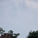 화장장 화장실 이미지