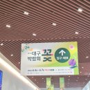 전통꽃꽂이꽃집 | 제17회 대구꽃박람회 후기