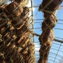 발효식품만들기 이미지