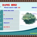 백두농장2 이미지