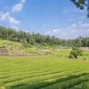 모다다원 이미지