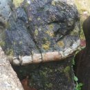 안골농장 이미지