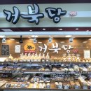 거북당 티스토리