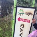 서서울농협 하나로마트 상암점 | 10월 서울 바비큐 페스타 비오는 날씨에도 즐겨본 후기☔️