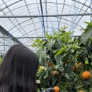 영빈농장 이미지