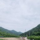 부등 농장 이미지