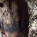 지양산 해맞이마을 이미지