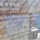 레이지도넛 네이버블로그