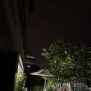 용산-이촌-961 이미지