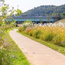 안양천 산책로 이미지