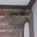 제비노래연습장 이미지