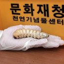 춘천직업전문학교 이미지