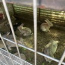 둥지캠핑장 이미지