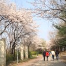 떠도는섬들 이미지